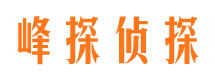 桑日捉小三公司